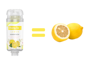 Ionpolis Premium Fresh Water Plus 6 Sabores Vitamina C Filtro de Ducha Externo - Product Image 3