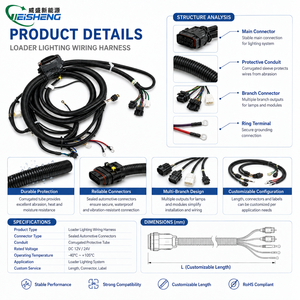 Özel Yükleyici Kablo Demeti Aydınlatma Sensörü Güç Kablosu Montajı OEM ODM - Product Image 3