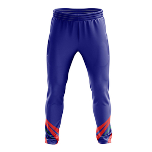 Professional Manufacturer Men's Wear Cricket Uniform Soft <b>Athletic</b> Wear Cricket Jersey & Pants For Outdoor Sports And Tournament - Product Image 3