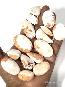 Jaspe Scolecita Natural, Gema Suelta en Cabujón, Formas y Tamaños Variados, Grado AAA, Certificado CCGTC, para Joyería, Cambio de Color, 4-16mm - Product Image 5