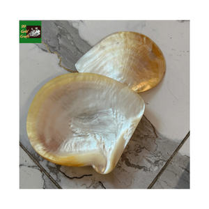 Assiette en nacre faite à la main, assiette à caviar en coquille naturelle, vaisselle décorative de haute qualité pour banquets et événements - Product Image 2