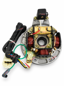 Conjunto de placa de bobina de estator Bajaj Caliber Croma, calidad de exportación para repuestos de motocicletas, India, Orado - Product Image 2