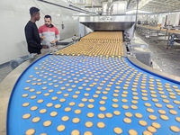 Machine à biscuits croustillants à haute productivité et ligne de production de biscuits moelleux, machine à sandwichs à la crème