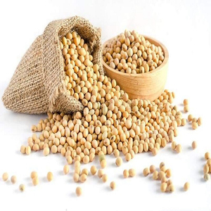 Soja No Transgénica de Alta Calidad al por Mayor para Producción de Ingredientes Alimenticios Comerciales - Product Image 4