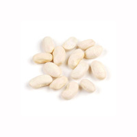 Haricots blancs de qualité supérieure pour la transformation alimentaire, la vente au détail et les acheteurs en gros