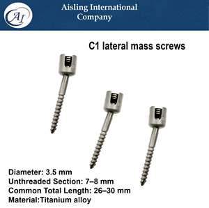 Tornillos de masilla lateral C1 para la columna cervical superior Longitud: 26–30 mm Diámetro: 3.5 mm Instrumentos quirúrgicos para columna vertebral - Product Image 2