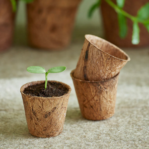 Pots en fibre de coco écologiques vintage, pots carrés en fibre de coco organique pour semis et plantes - Product Image 3