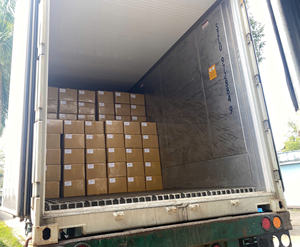 Durian Congelado de Alta Calidad Premium, Origen Vietnam, Marca Darlac Farms, IQF, 20 kg, Exportación a Granel, Estándar, Etiqueta Privada, Proveedor OEM - Product Image 5