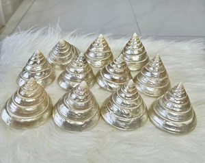 Concha de Nácar Natural Pulida Estilo Museo de Vietnam, 10 cm, para Exhibición Decorativa - Product Image 3