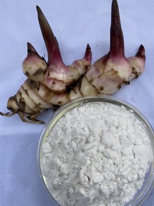 Almidón de Araroto Orgánico en Polvo, Sabor Natural para Alimentos e Ingredientes, Empacado en Bolsa, Origen Vietnam - Product Image 4