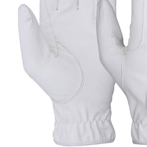 Fabricant de gants d'équitation de qualité export, vente en gros de gants d'équitation pour le marché mondial, développement de marques et étiquettes privées - Product Image 6