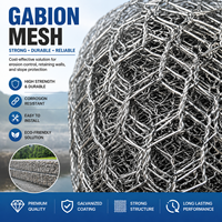 Caja de Gabiones Resistente, Fabricante de Cestas de Gabiones, Jaula de Malla Metálica para Ingeniería Civil