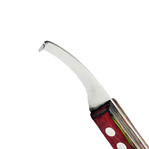 Couteau à sabots professionnel en acier inoxydable, outil vétérinaire pour le soin des sabots, couteau de soin des sabots de cheval, manche en bois, outils de fermeur - Product Image 3