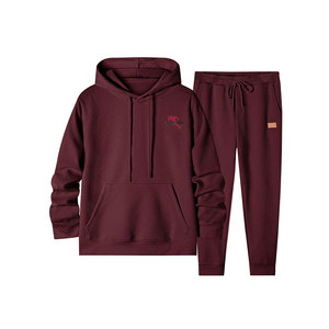 Chándal Informal con Capucha para Hombre, Tejido Transpirable, Color Sólido, para Entrenamiento en el Gimnasio, Correr y Uso Diario - Product Image 1