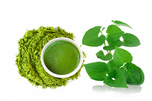 NATURAL VIETNAM Fish Mint Powder/Houttuynia Cordata Powder 100g Stand Up Pouch for Smoothies Drinks Soups and Daily Nutrition - Product Image 6