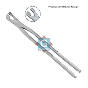 Gary Rocks -1414-60 Instrumento Dental Manual de Acero Inoxidable de Alta Calidad, Pinza de Extracción Molar con Mandíbula Serrada de 19 Dientes, Plateada - Product Image 3