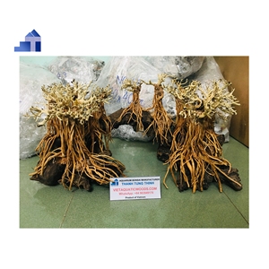 Décorations d'aquarium en bois flotté naturel pour aménagement paysager de bassin à poissons, fabriquées au Vietnam - Product Image 6