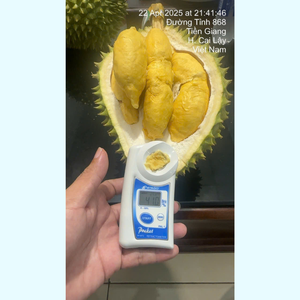 Durian Vietnamita RI6, Variedad Común, Fruta Tropical Amarilla Fresca Entera de Primera Calidad, Peso 2.5-4.5kg, Grado A, 20-40cm, VH Food - Product Image 1