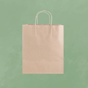 Custom Kraft Paper <b>Bags</b> Twisted Handles Logo Printed Supermarket Promotion Food Packaging Takeaway Shopping <b>Bag</b> - Product Image 2