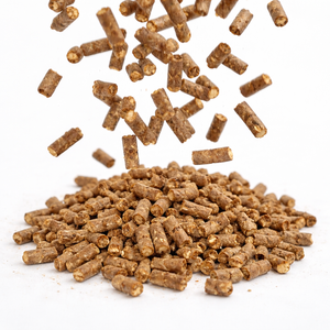 Pellets de madera de pino natural para camas de mascotas de VIETNAM - Product Image 4
