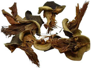 Bombax malabaricum simbal ดอกไม้ semal phool semal phool Semel phool สมุนไพรดิบแห้งขายส่งสกัดจากพืชผลิตภัณฑ์สมุนไพร - Product Image 3