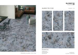 Azulejo de Porcelana Brillante Grandy 600x1200, Formato Grande, Superficie Pulida Premium, para Pared y Suelo, Diseño Moderno para Interiores y Exteriores Plus - Product Image 5