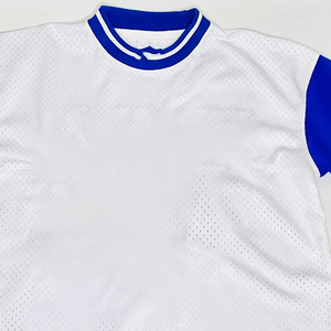 Custom ZPB Unisex Embroidered White Pullover <b>Baseball</b> Jersey Blue Sleeves Breathable HBCU Greek Sorority & Fraternity Apparel - Product Image 5