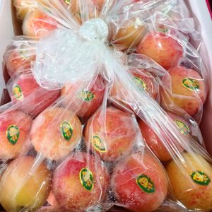 Buah Plum Segar Dipanen Untuk Kualitas Buah Segar yang Unggul Menawarkan Rasa Kaya, Tekstur Lembut, dan Standar Pengiriman yang Terjamin.