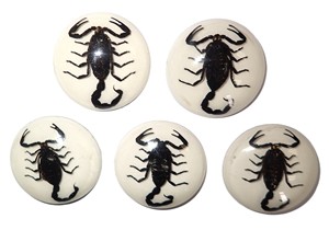 Scorpion noir, spécimen réel, cabochon en plastique rond 35x35 mm, fond plat blanc pour l'artisanat et la fabrication de bijoux - Product Image 5