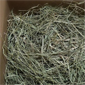 Heno de Timothy de Alta Calidad en Pacas/Pellets/Cubos Deshidratados para Caballos y Ganado, 500g, Alimento para Animales - Product Image 6