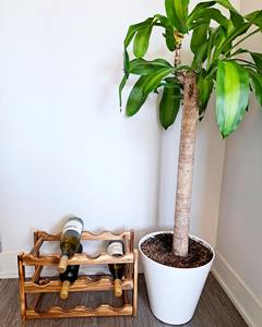 Estante para botellas de 3 niveles, ideal para aceites de cocina, salsas, vino y licores, ahorra espacio en la encimera y almacena múltiples botellas, procedente de la India. - Product Image 2