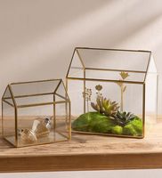 Terrarium géométrique en verre avec cadre doré, offre spéciale, prix de gros, prisme en verre, planteur métallique