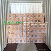 Nettoyant WC bleu écologique Duck, flacon de 500 ml, 5 en 1, toutes variantes, fabriqué au Vietnam