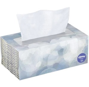 Pañuelos Faciales de Pulpa de Bambú Bajo en Pelusa, 2 Capas, Caja de 500 Unidades para el Hogar, Logotipo Personalizado EcoTurtles Exploration LLP - Product Image 5