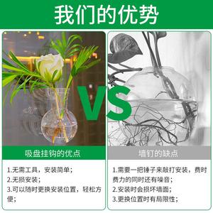 Jarrón Redondo Transparente para Colgar, Contenedor de Flores, Jarrón Hidropónico para el Hogar, Molde de Silicona - Product Image 2