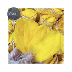 [VENTE CHAUDE] |   Tranches de mangue séchées, moelleuses et croquantes |   Snacks aux fruits tropicaux pour la vente en gros, au détail et les marques OEM au Vietnam - Product Image 1