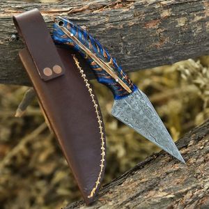 Cuchillo Bowie de Caza de Acero Inoxidable de Alta Calidad con Mango de Madera, Funda de Cuero y Hoja de Punta Fija para Exteriores - Product Image 1