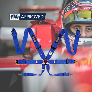 TBRACING FIA 8853 2016 ECO A Racing Harness With Aluminum Adjusters And Pull Up Pelvic Straps For Brand Supply - Product Image 1