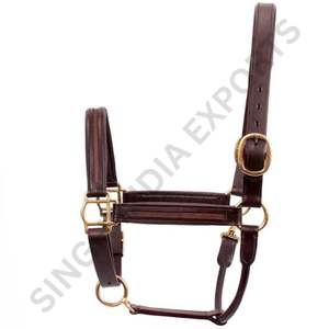 <b>Empty</b> Channel Horse Halter Genuine Leather Padded Adjustable Headcollar with Solid Brass Hardware Premium Equestrian Tack - Product Image 5