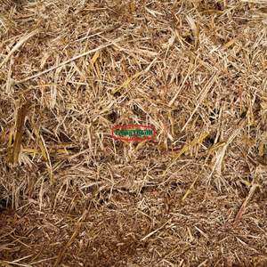 Alimento para Animales al por Mayor: Bagazo de Caña de Azúcar y Residuos de Cáscara de Piña Ricos en Fibra para Rumiantes - Económico - Product Image 3