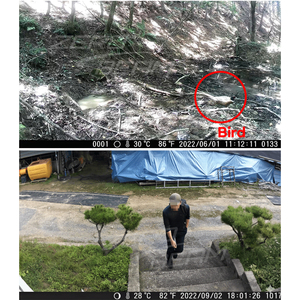 Caméra de surveillance extérieure à infrarouge ZEROBEAM T9 pour la vision nocturne, idéale pour la sécurité des fermes, des champs et l'observation de la faune. - Product Image 3