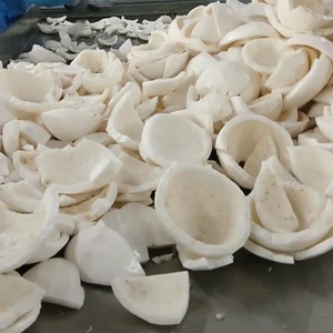 IQF ชิ้นเนื้อมะพร้าวแช่แข็งเนื้อสีขาวเนื้อหนา3มม. สำหรับขนมขบเคี้ยวสลัดอาหารเพื่อสุขภาพบรรจุภัณฑ์แบบมังสวิรัติ - Product Image 5