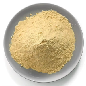 Poudre d'extrait de levure la plus vendue, qualité supérieure, 100 % pure et naturelle, en gros, provenant d'Inde - Product Image 4