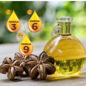 Huile de Sacha Inchi biologique disponible, Plukenetia Volubilis, 100% huile de graines naturelle pure pour l'hydratation de la peau et la réparation des cheveux - Product Image 1