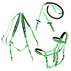 Ensemble complet d'équipement d'endurance équestre en cuir, comprenant des haltères en PVC et du nylon, et une bride de style équestre - Product Image 1