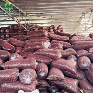 พริกแห้ง – คุณภาพพรีเมียมสำหรับการแปรรูปอาหารจากเวียดนาม - Product Image 5