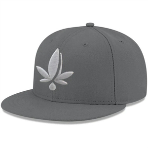 Casquette de baseball grise à 6 panneaux avec broderie de feuille blanche sur le panneau avant, ajustée, unisexe, décontractée - Product Image 1