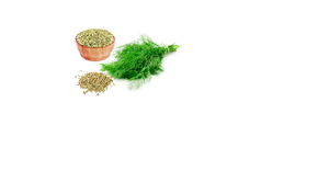 Extrait de graines de fenouil, complément alimentaire naturel à base de plantes pour la digestion, le bien-être, la vitalité et la santé quotidienne - Product Image 1