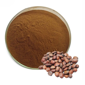 Poudre de graines de datte 100 % pure en vrac, de qualité alimentaire supérieure, pour les smoothies et le café - Product Image 2
