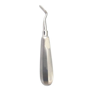 Élévateur de racine dentaire en acier inoxydable, instrument chirurgical pour l'extraction dentaire - Product Image 3
